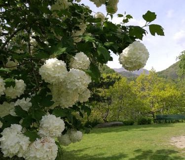 Pomaretto House | Agriturismo La Chabranda