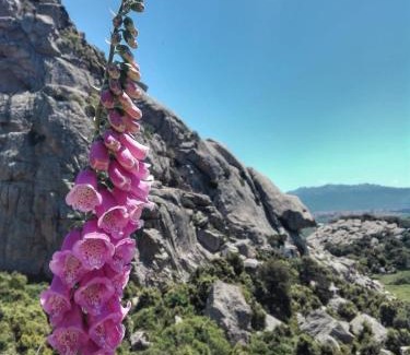 Tempio Pausania Bed & Breakfast | Agriturismo La Vigna