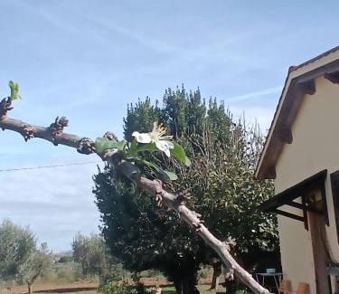 Grosseto House | Agriturismo Le Villette di Cate