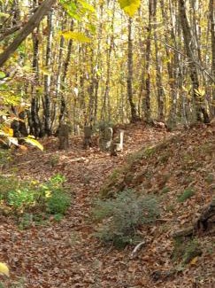 Casore del Monte House | Agriturismo Menghino