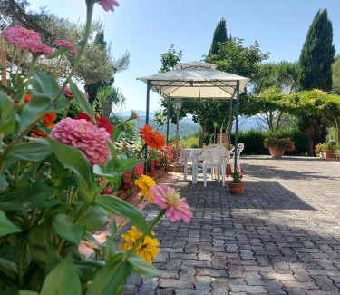 Monterotondo Marittimo Apartment | Agriturismo Mezzo Poggio Suvereto