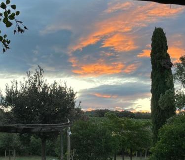 Magliano in Toscana House | Agriturismo Podere Sant' Antonio