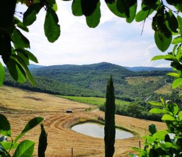 Allerona House | Agriturismo Selvella