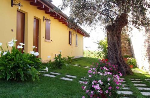 Notaresco House | Agriturismo Tenuta Santa Maria