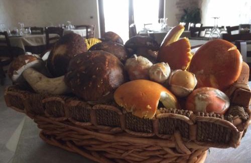 Rotonda House | Agriturismo Terra Verde