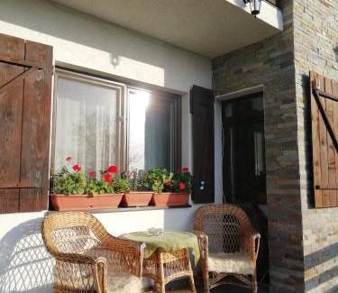 Suceava County House | Agropensiunea Ioana