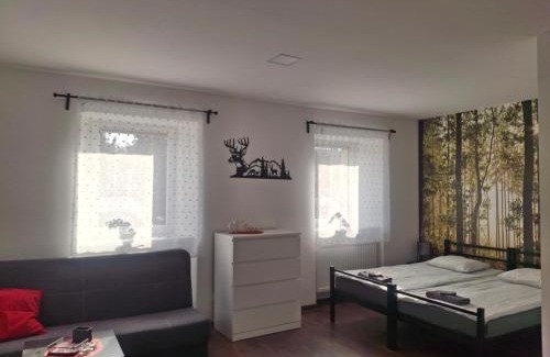 Jezow Sudecki Apartment | Agroturystyka pod niebieskim dachem