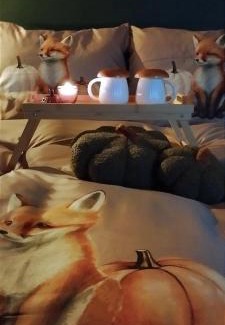 Czersk Apartment | Agroturystyka u Lusi