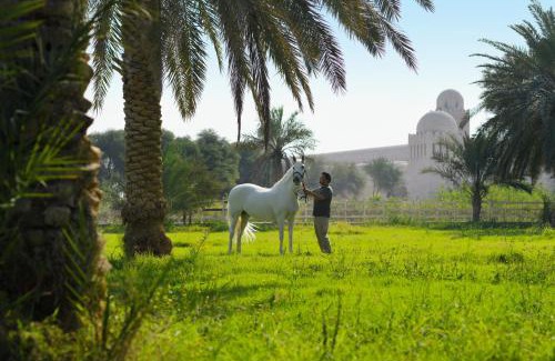Ash Shahaniya Hotel | Al Samriya Hotel, Doha, Autograph Collection