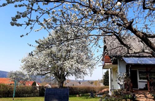 Rotensol Apartment | Albblick