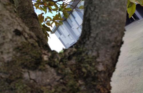 Castenaso Hotel | Albergo Aurora