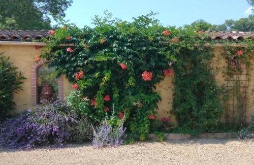Rosieres House | Albi à proximité, maison d'hotes les oliviers