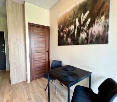 Vilnius city municipality Apartment | ALBINA Studio
