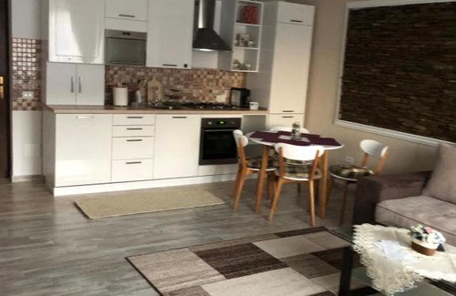 Piatra Neamt Apartment | Aleria de piatra