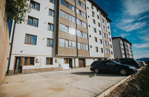 Piatra Neamt Apartment | Alessandra Studio 2