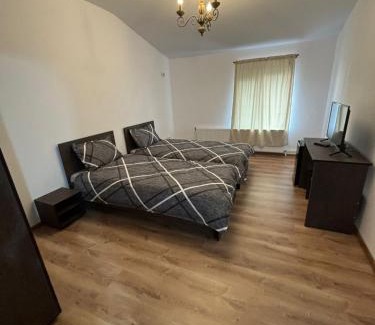Braila House | Alexander Residence