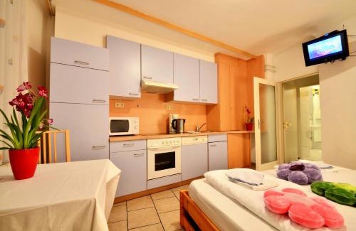 Floridsdorf Apartment | All-in longterm Cozy Studio - free Parkingcard for 21 District
