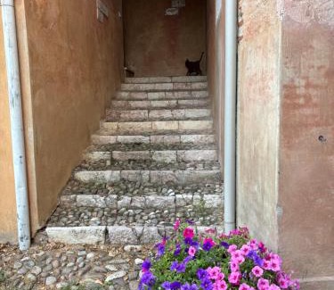 Angarano House | Alla vigna