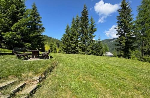 Feld am See House | Almhütte Chalet für 6 Personen in der Feldpann-Alm