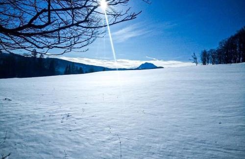 Puchenstuben Ski Chalet | Almhütte in Alleinlage OFFGRID