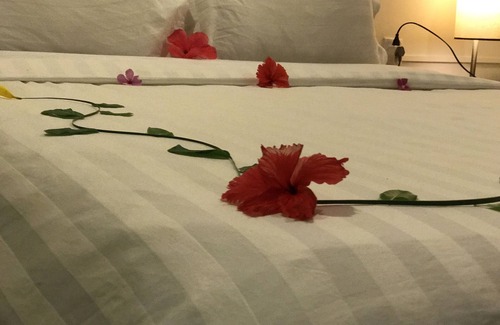 Rasdhoo Hotel | Aloha Rasdhoo, located few minutes away from private beach.