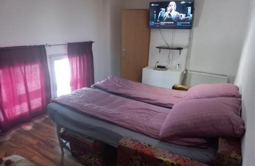 Oberbuchsiten Apartment | Alpenblick Ferienwohnung und Monteurzimmer