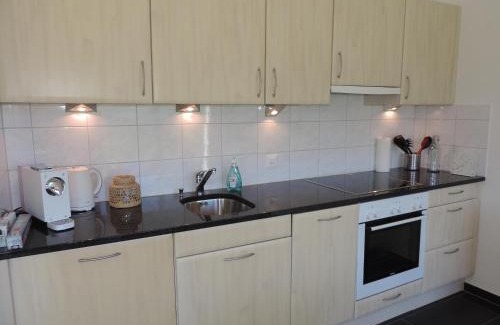 Albula-Alvra Apartment | Alpenrose (295 Av)
