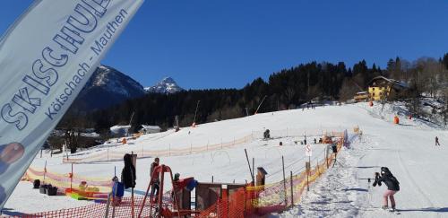 Kotschach-Mauthen Ski Chalet | Alpensuss