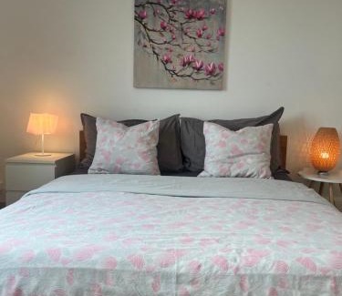 Neuchatel Apartment | Alpes Rez