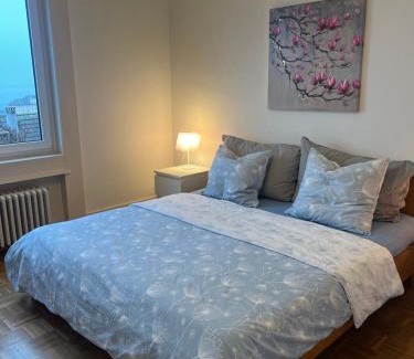 Neuchatel Apartment | Alpes Rez