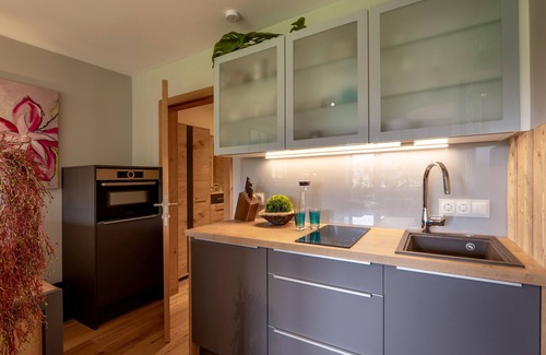 Kirchberg in Tirol Apartment | Alpine's Nest studio apartment with mountain view