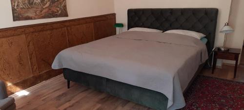 Mainz Apartment | Altstadtapartment Rochusstraße