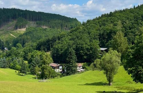 Lennestadt Apartment | Am Damwildgehege II