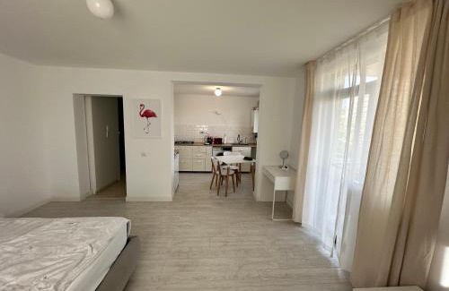 Iasi Apartment | AMADEUS IASI