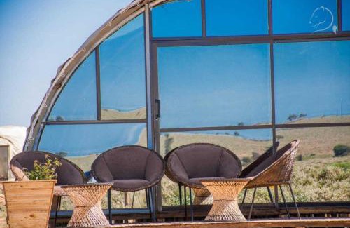 Amboseli House | Amanya 2-Rooms Lioness Family