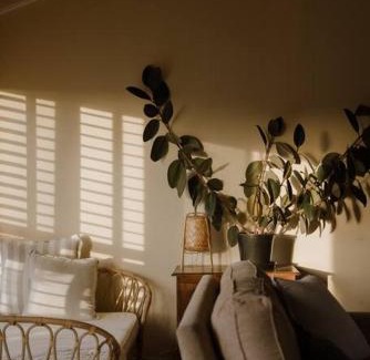 Cape Woolamai House | Amarela Haus - Calming Retreat within Oceans Reach