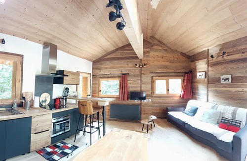 Passy Apartment | Amazing, garden level, terrace, sleeps 2, Nordic bath, Mont Blanc view