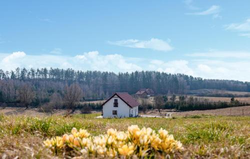 Gietrzwald House | Amazing Home In Gietrzwald