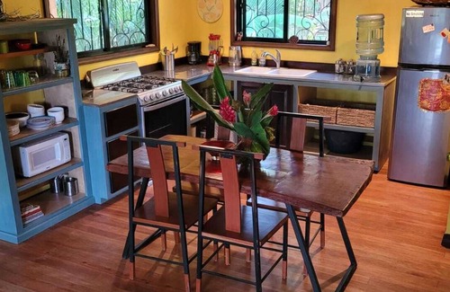 Bullet Tree Falls House | Amazing Jungle Retreat Close to San Ignacio