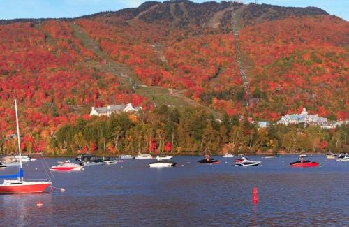 Mont-Tremblant House | Amazing Lakemountain View 5min To Tremblant 491