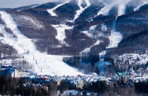 Mont-Tremblant House | Amazing Lakemountain View 5min To Tremblant 491