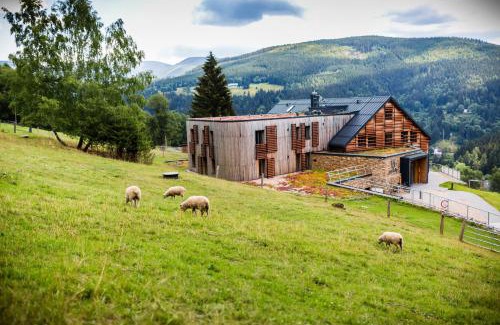 Spindleruv Mlyn Hotel | Amenity Hotel & Resort Špindlerův Mlýn