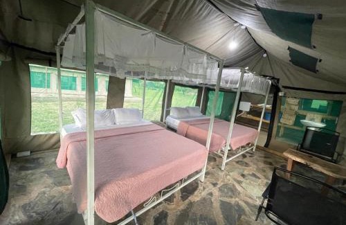 Mara Other | AMENITY TOURs & CAMPING - SERENGETI