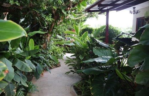 Willemstad Resort | Amigunan Tropical Mini Resort