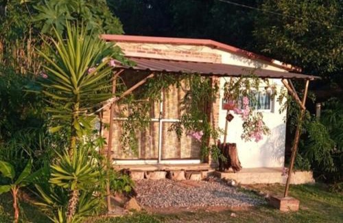San Luis House | Amor amor