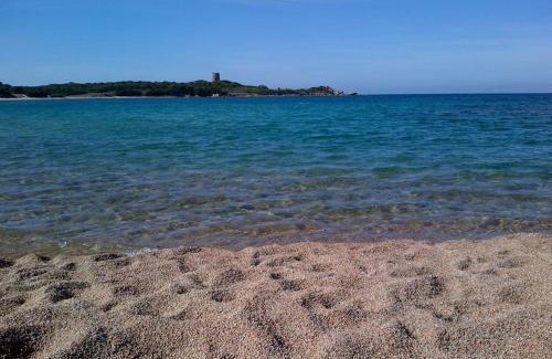 Aglientu House | Ampio trilocale climatizzato in Villaggio con piscina estiva 400m dal mare in Gallura