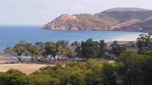 Amsa Apartment | Amsabeach