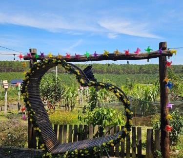 Bao Lam Other | An Nhien garden