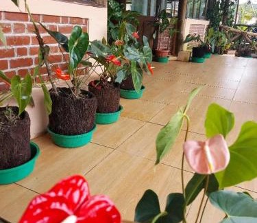 Andasibe Hotel | Analamazaotra Hôtel