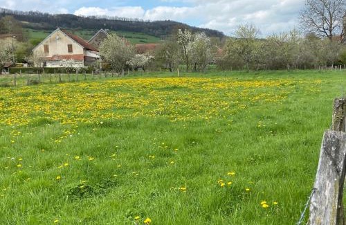 Jailly-les-Moulins House | Ancienne ferme Bourguignonne en bord de rivière, grand terrain arboré, et clos